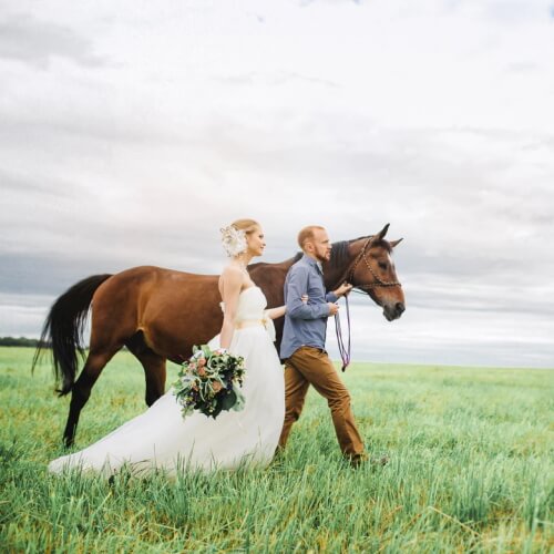 bride_groom_horse